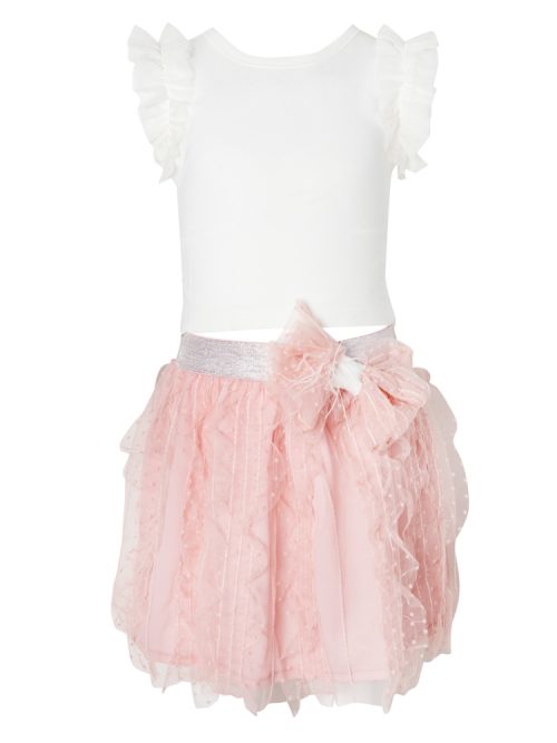 Tulle skirt and top set
